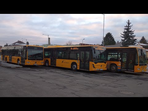 Elment az utolsó 8-as busz | Új busz menetrend Zalaegerszegen 1. rész