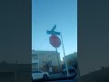 Tame One RIP "South Orange Ave"