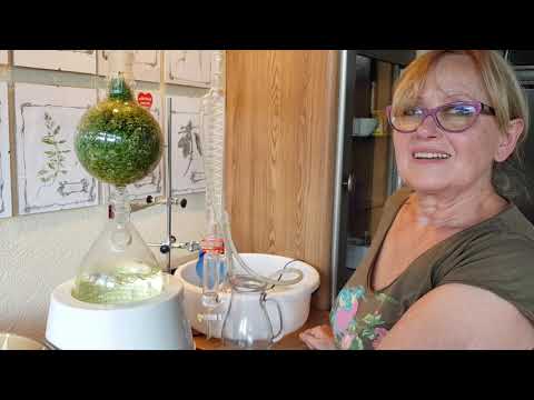 Melarosa #6 - Jak destylować olejki eteryczne z roślin - (How to distill essential oils )