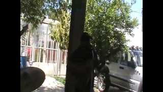 Los Grandes No logre olvidarte