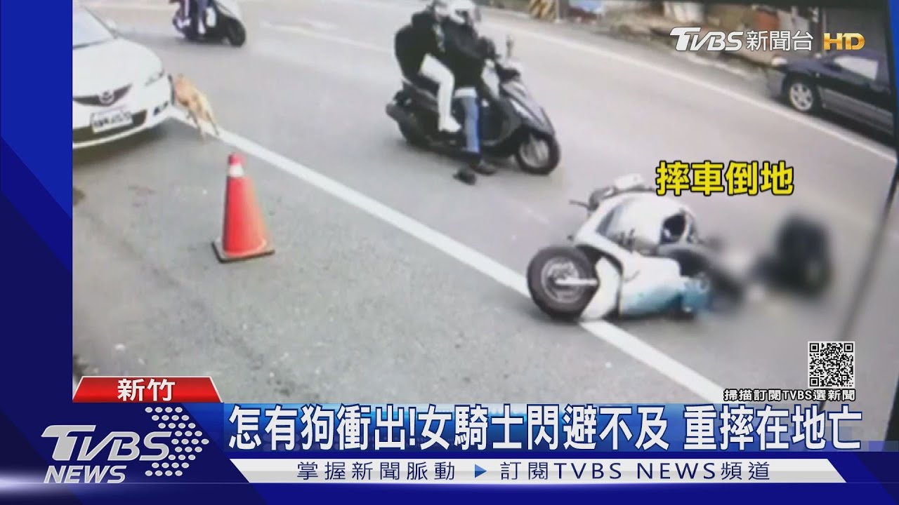狗毛緝凶！　機車底盤「揪證物」採DNA偵破摔車冤死案