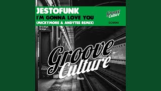 I'm Gonna Love You (Micky More &amp; Andy Tee Remix)