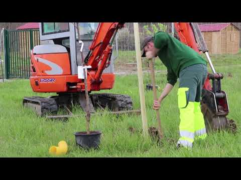 Le service espace vert de la ville de Fonsorbes