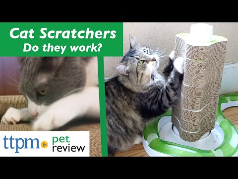 Cat Scratchers | Do They Work? | (We Tested Them All)