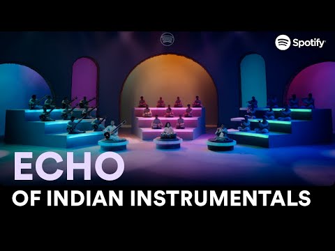 David Dsouza Kautilya Spotify Echo