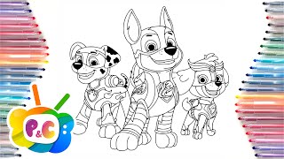 Paw patrol mighty pups coloring pages. How to coloring Chase and Skye. Painting and Coloring Tv.