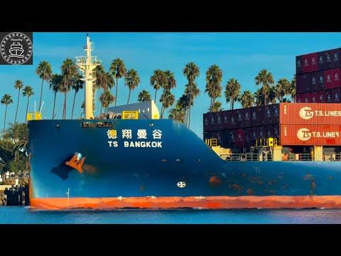 MARINE TRAFFIC AT “AMERICA’S PORT” LOS ANGELES CALIFORNIA - 4K SHIPSPOTTING January 2025