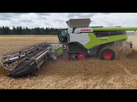 Talinisu KWS Universum koristus