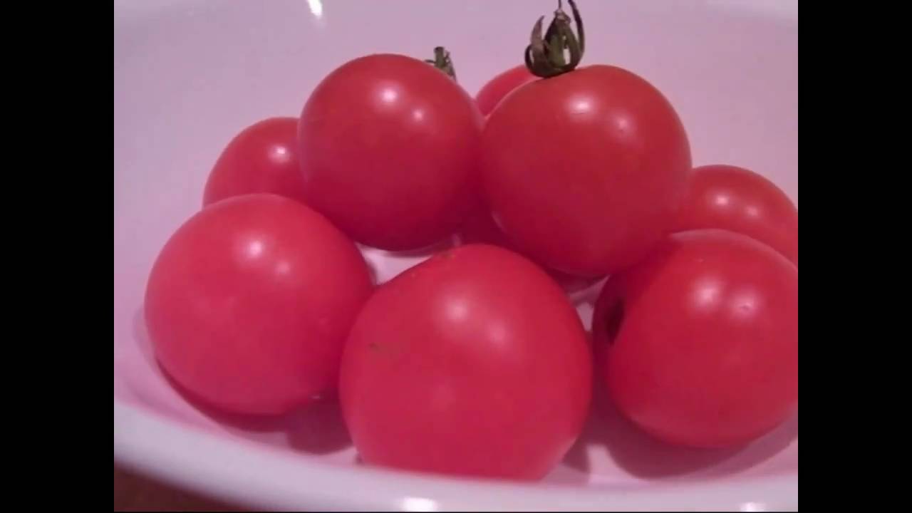 Tomatotime: Save It For Later; how to bake tomatoes for snacking and freezing.