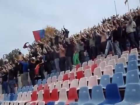 Peluzele SUD & NORD - Si de cainii erau in gara (La antrenament)