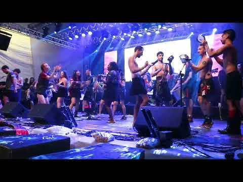 Tim Medley | B.O.teria