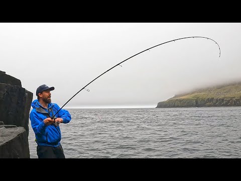 Rock Fishing in Scotland | Lure Fishing for Pollack | Isle of Skye