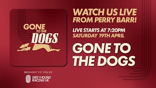 Gone to the Dogs - Live!