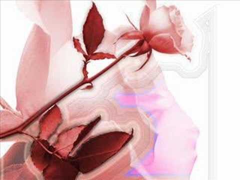 Bài ca trên đồi - Thanh Hà GTVT