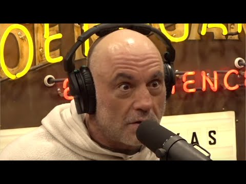 Joe Rogan On The Chaos Of ICE In America