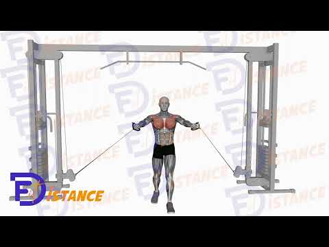 Écartés à la poulie basse - Exercice Écartés à la poulie basse en vidéo