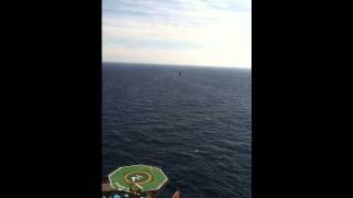 Hjemreise i dag :)))