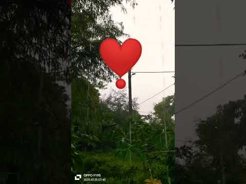 ❣️❣️❣️❣️❣️🌧️🌧️🌧️🌧️🌧️🌧️🌧️🌧️