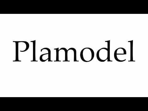 How to Pronounce Plamodel
