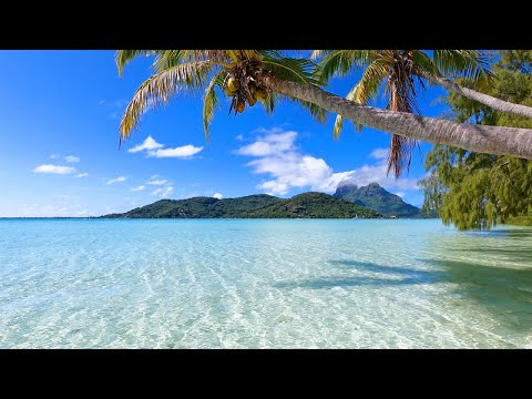 Sunrise to Sunset in Peaceful Polynesia