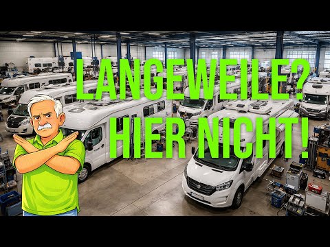 We don't know the meaning of boredom - things are always going well for US 🏃‍♀️‍➡️