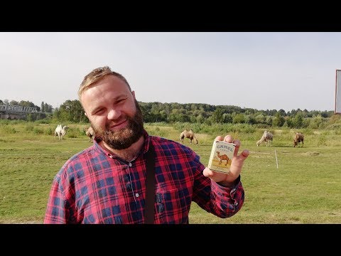 Российский CAMEL или как 'Петро' нам врёт