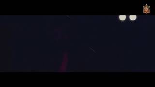 Sergio Ramos &amp; Demarco Flamenco - otra estrella En tú corazón ( videoclip oficial)