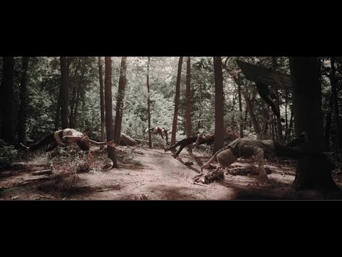 WE CAME AS ROMANS - Fade Away (OFFICIAL MUSIC VIDEO)