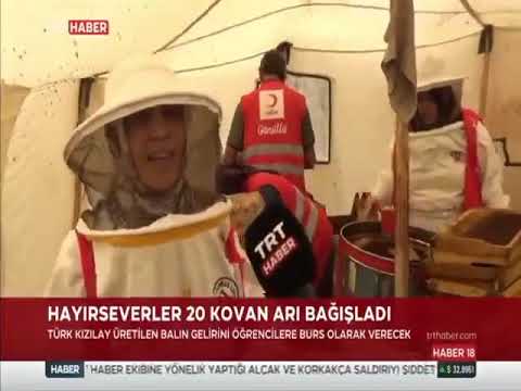 Bal gibi iyilik