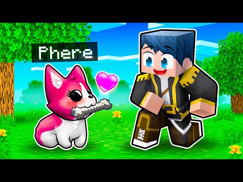 HO AGGIUNTO I CANI SU MINECRAFT! - TPOCRAFT