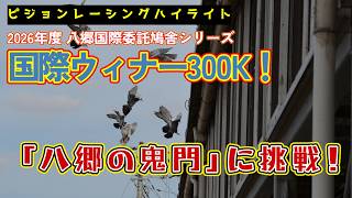 2026年度「八郷国際ウィナーレース300K」ハイライト！