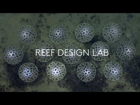 Protecting coastlines and marine life with artful artificial reef structures