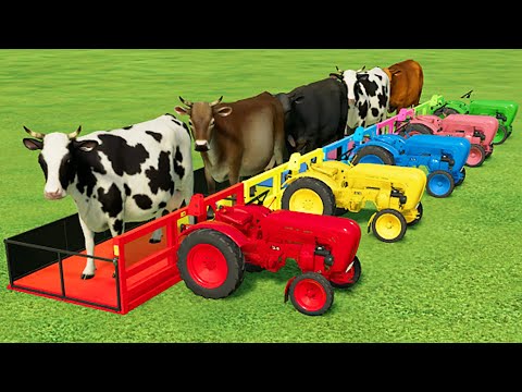 TRANSPORTING COWS WITH COLORED MINI TRACTORS & MAN TRUCKS - Farming Simulator 22