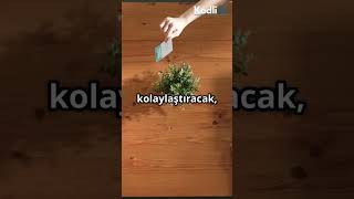 Kurumsal web tasarım, e-ticaret, Mobil uygulama hepsi bir arada