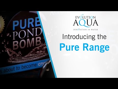 Быстродействующие бактерии Evolution Aqua Pond Bomb для очистки органической грязи в пруду - фото 1 - id-p2603814732