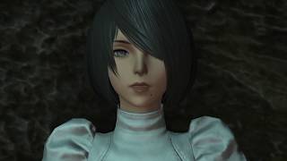 FINAL FANTASY XIVる！パッチ5.0 漆黒のヴィランズ無実況のんびりプレイ～ その17(1080p 60fps) HD