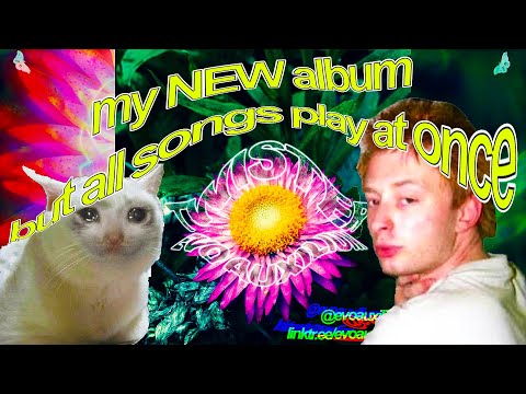 my new album but all songs play at once