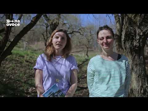 Kniha PRAŽSKÉ OVOCNÉ SADY – poznejte město jedlýma očima