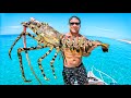 Can I Cook Giant Lobster Using The Sun?