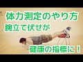 ハーバード大学研究「腕立て40回以上で中年男性の心疾患のリスクが減少」腕立て伏せの測定方法【体力測定】