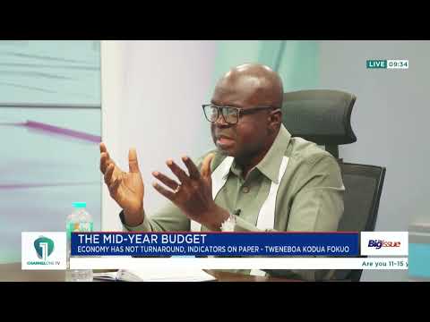 “An Economy Is Not Thriving Without Jobs” — Tweneboa Kodua Fokuo on Youth Unemployment