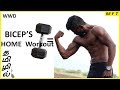 BICEP S Home WorkOut With DUMBBELLS In Tamil Men S Fashion Tamil