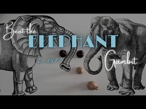 The Elephant Gambit (And how to beat it every time.)