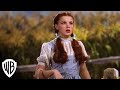 Dorothy Meets The Scarecrow