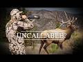4K | IDAHO Elk Hunt | Dirk Durham | THEBUGLER