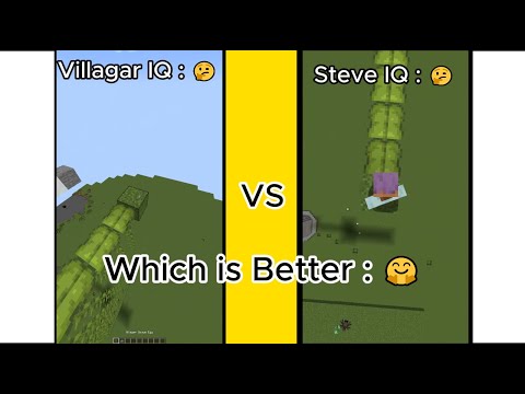 Ultimate Minecraft IQ Battle: Villager vs Steve 🧠