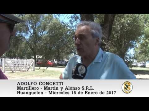 18-01-17 Nota Adolfo Concetti - Martin y Alonso S.R.L. - Huanguelen.