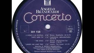 Angelo Branduardi - Tanti Anni Fa (Concerto 1980)