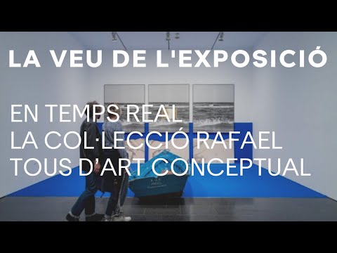 The voice of the exhibition | The Rafael Tous Collection