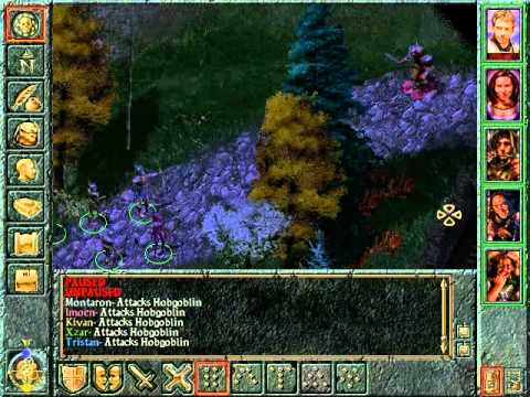 Baldur's Gate Playthrough 2 - Friendly Arm Inn, Xzar & Montaron